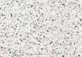 Venetian Terrazzo